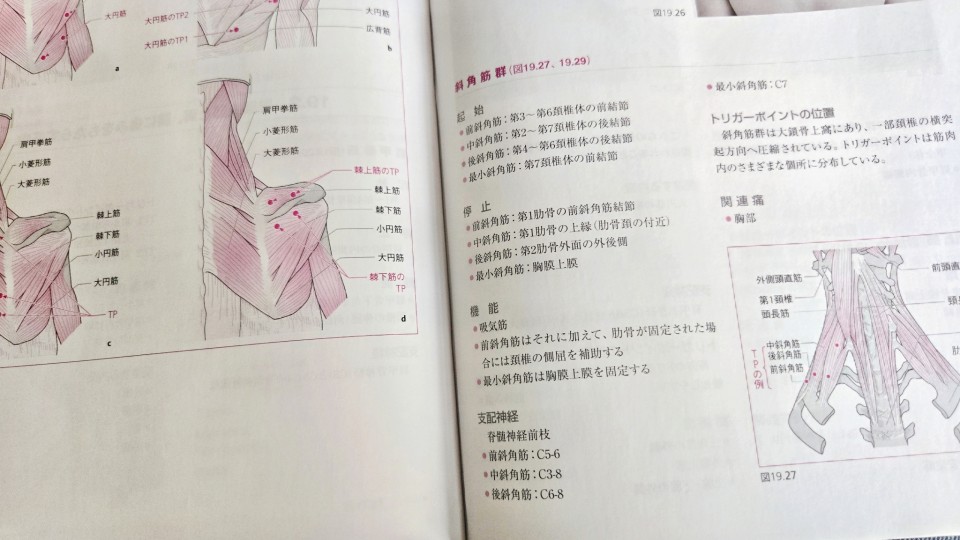 アップロード画像