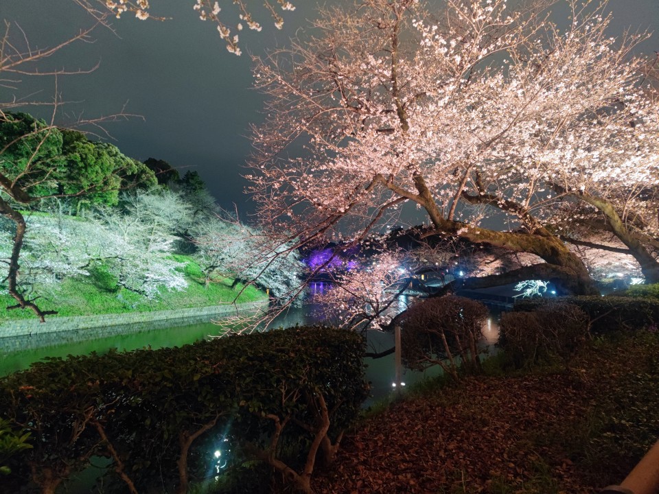 アップロード画像