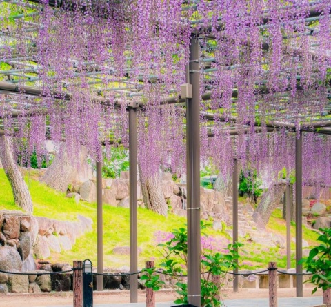写メ