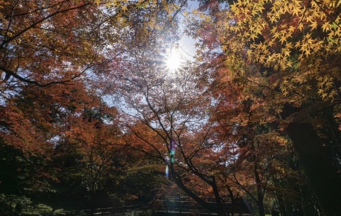 写メ