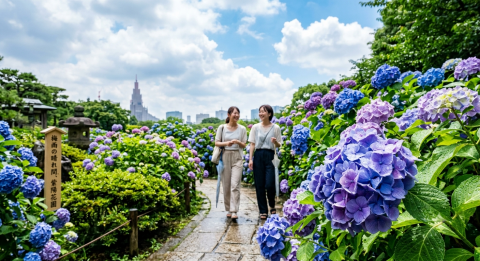 写メ