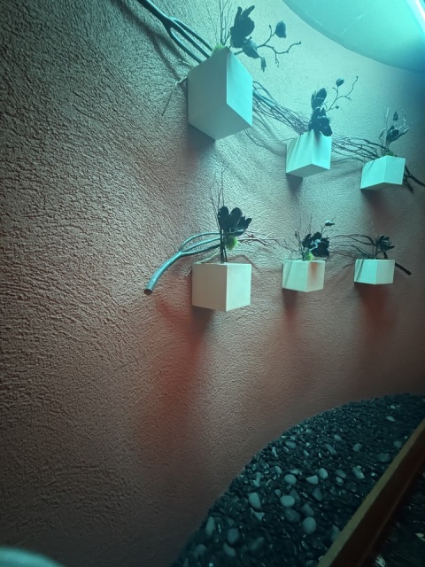 写メ