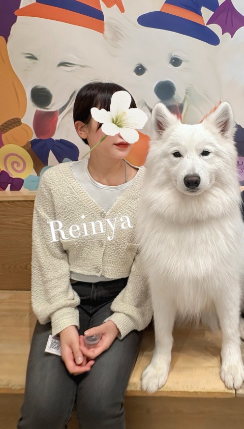 写メ