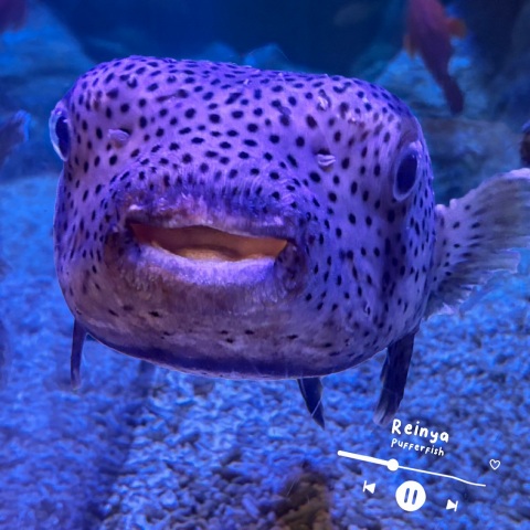 写メ