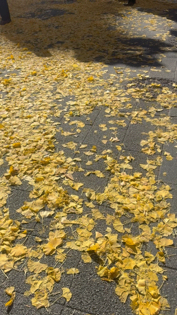 アップロード画像