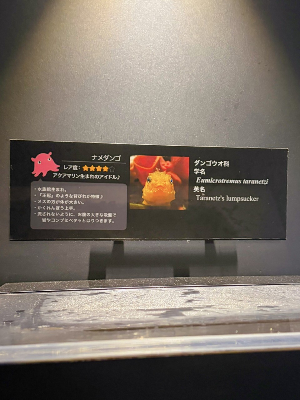 アップロード画像