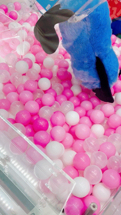 アップロード画像