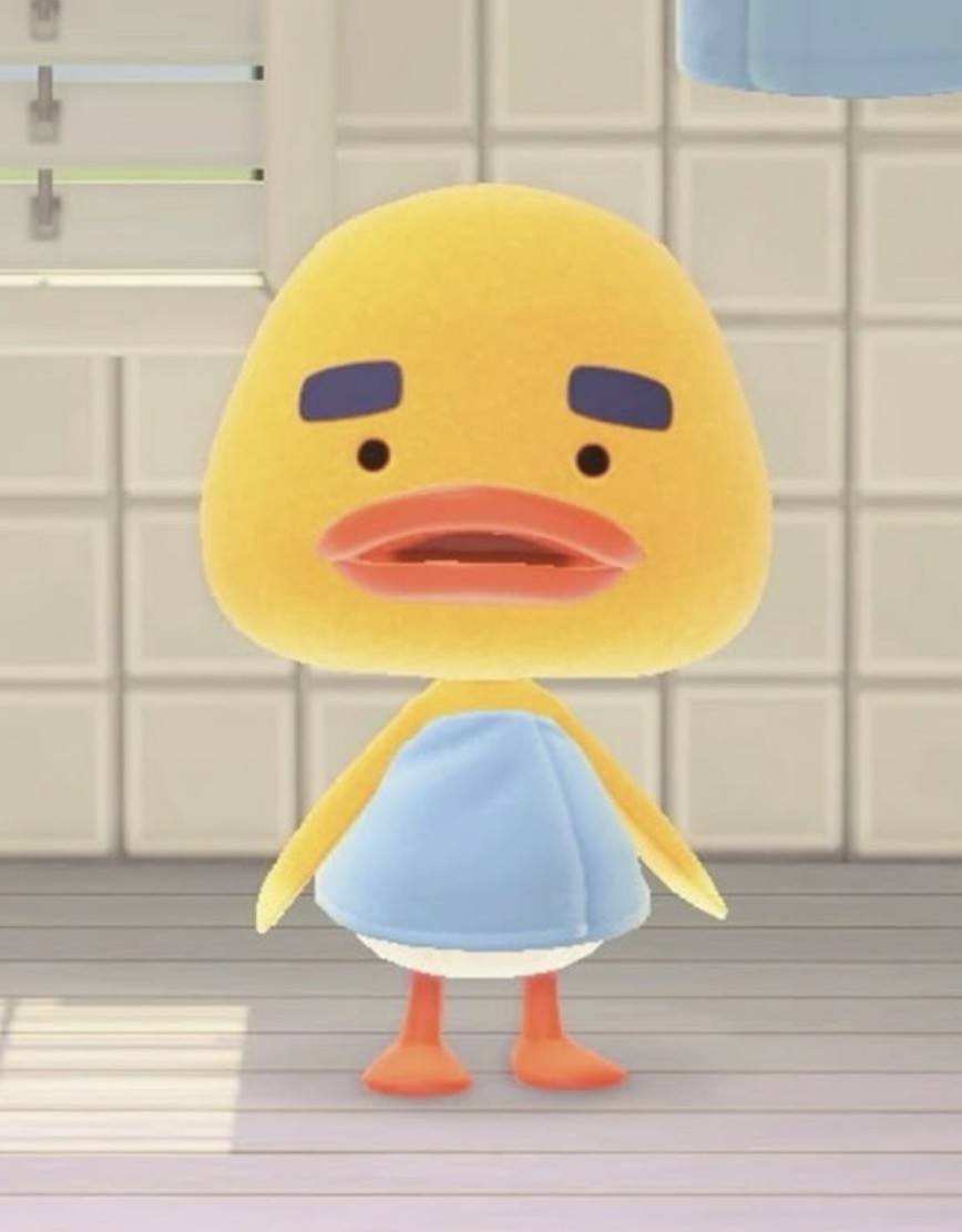 アップロード画像
