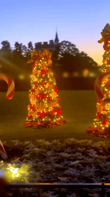 アップロード画像