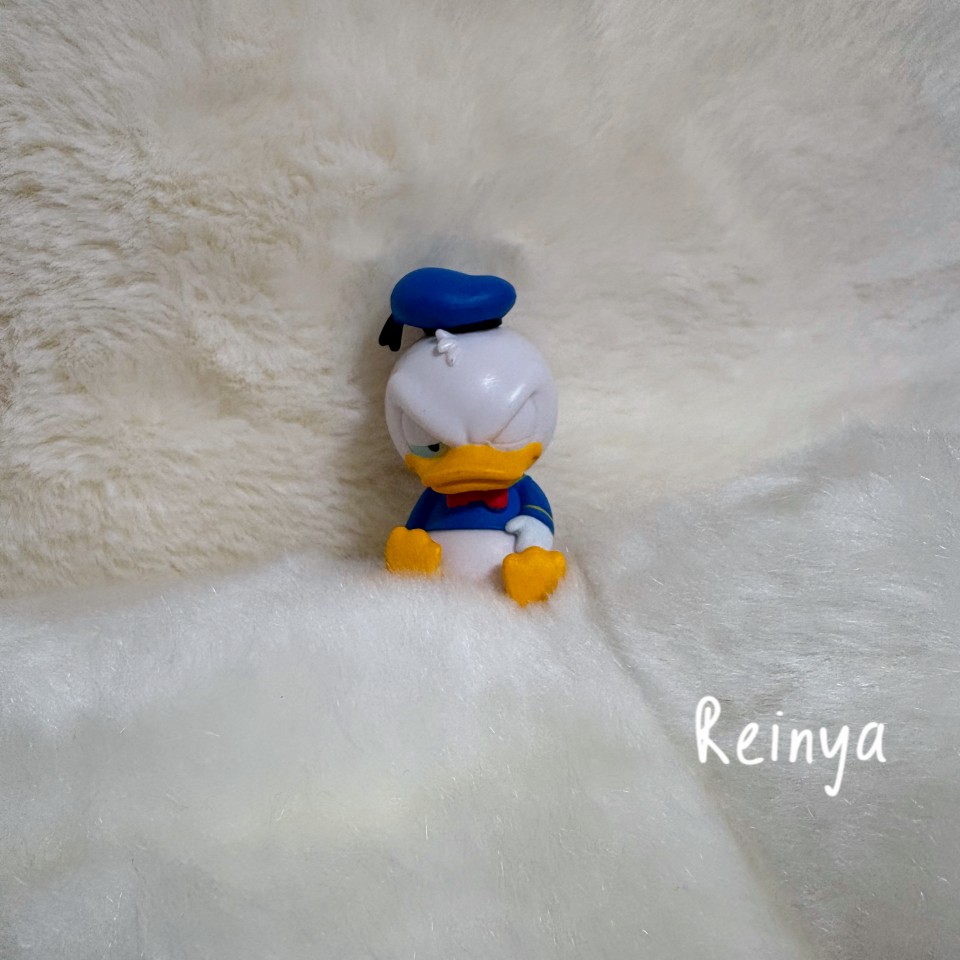 アップロード画像