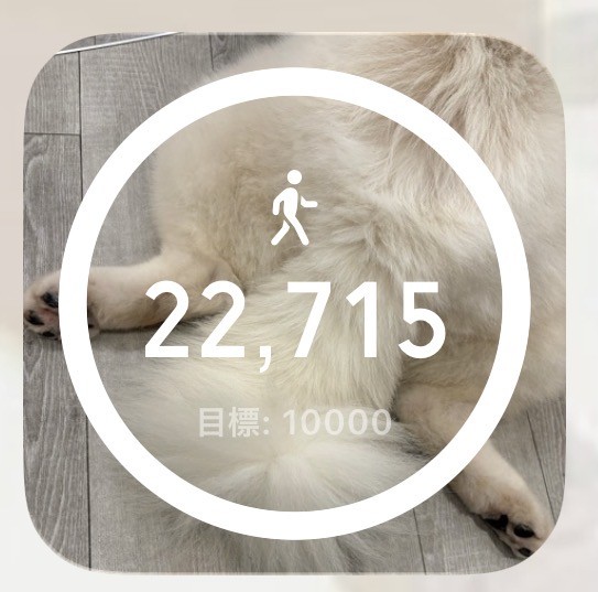 アップロード画像