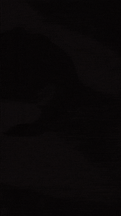 アップロード画像