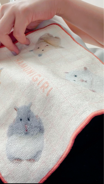 アップロード画像