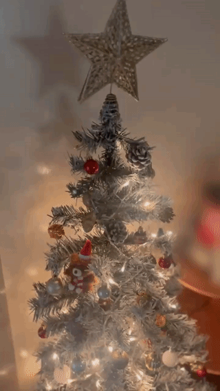 アップロード画像