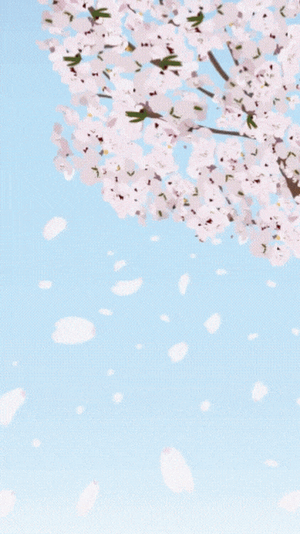 アップロード画像