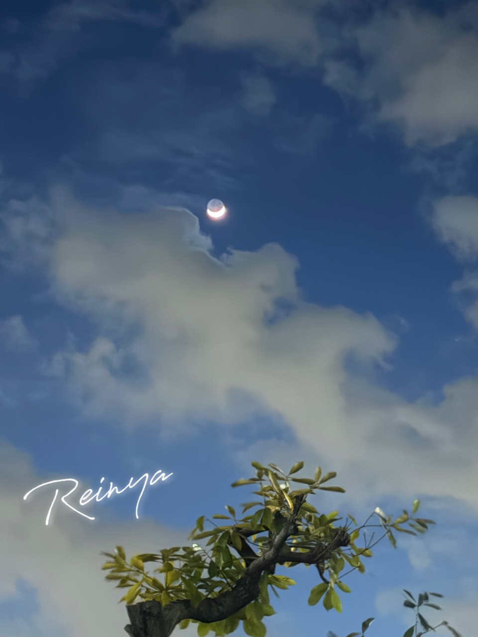 アップロード画像