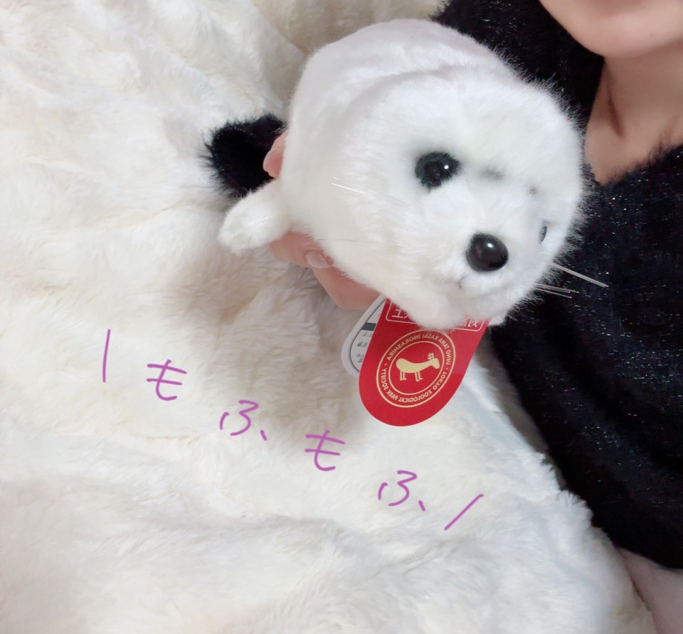 アップロード画像