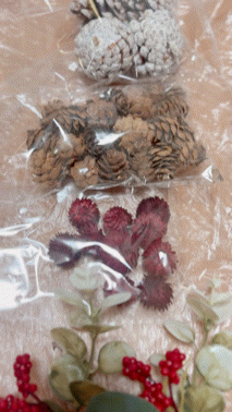 アップロード画像