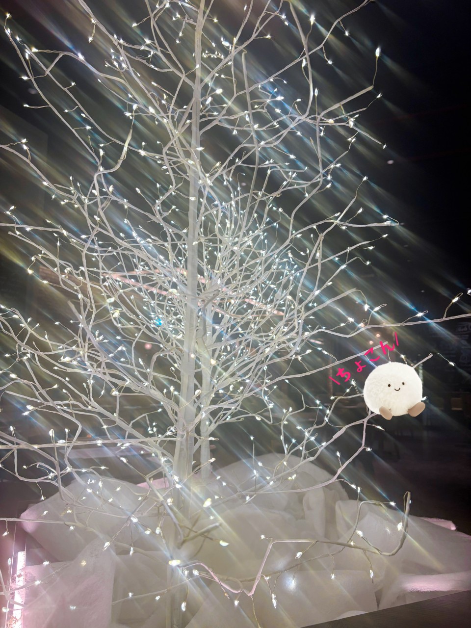 アップロード画像