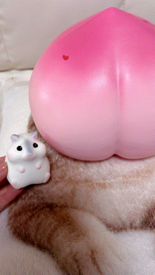 アップロード画像