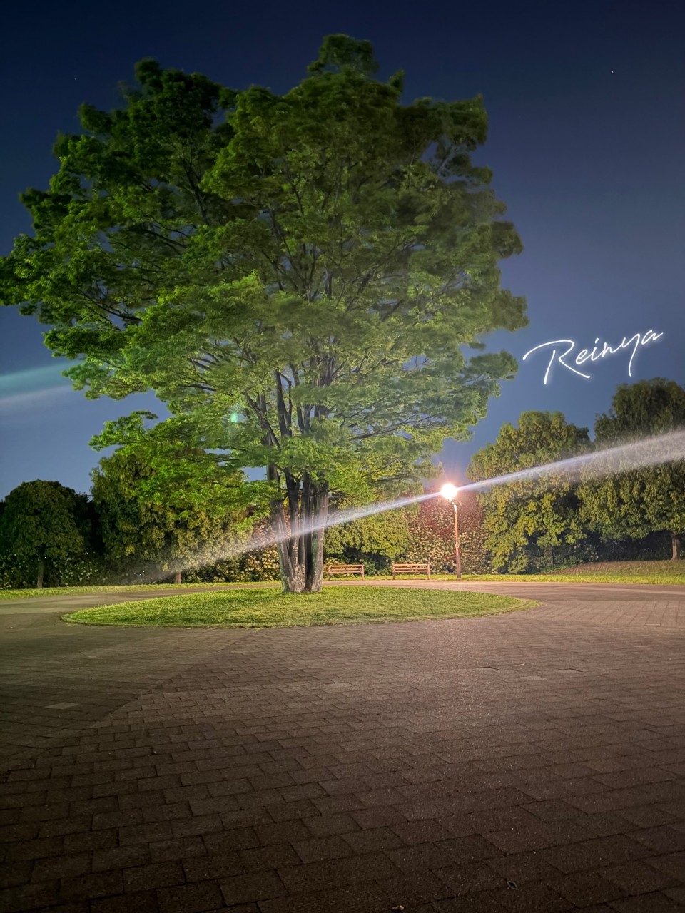 アップロード画像