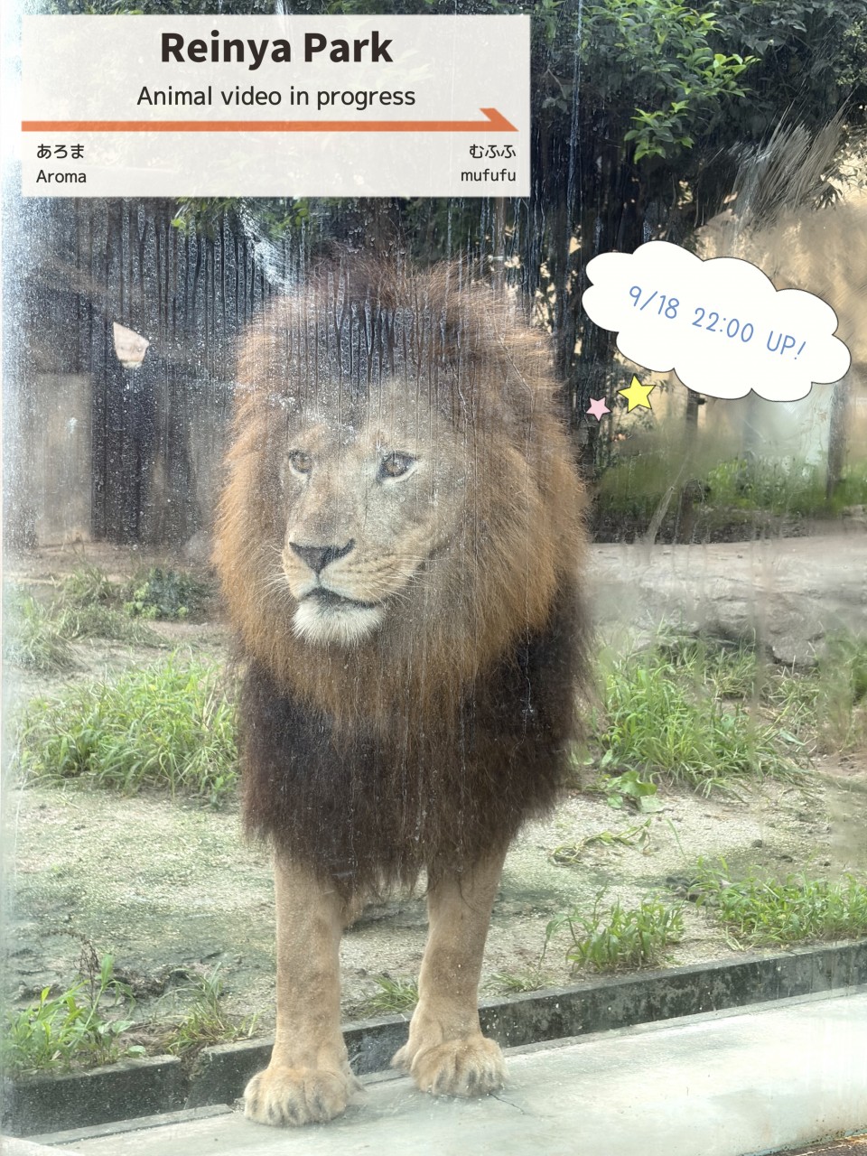 アップロード画像