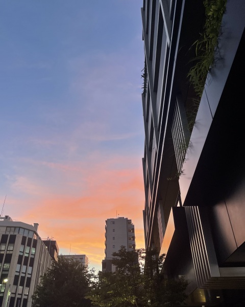 写メ