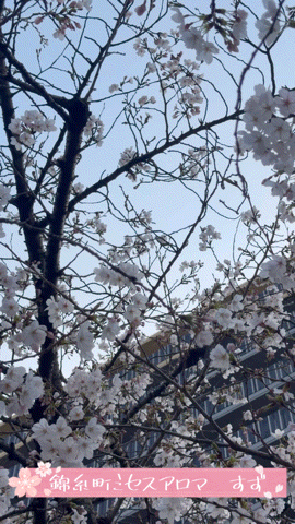 アップロード画像