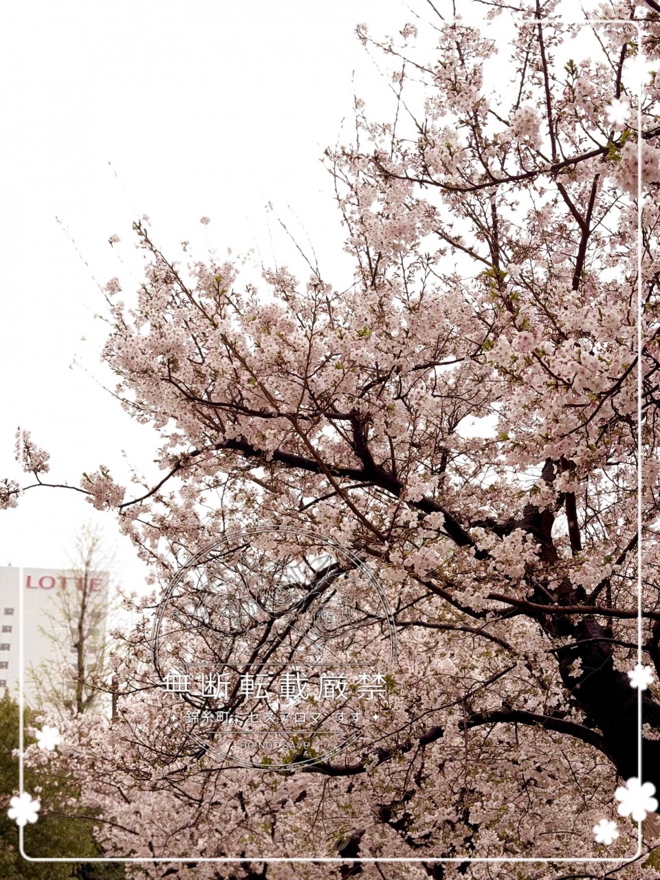 アップロード画像