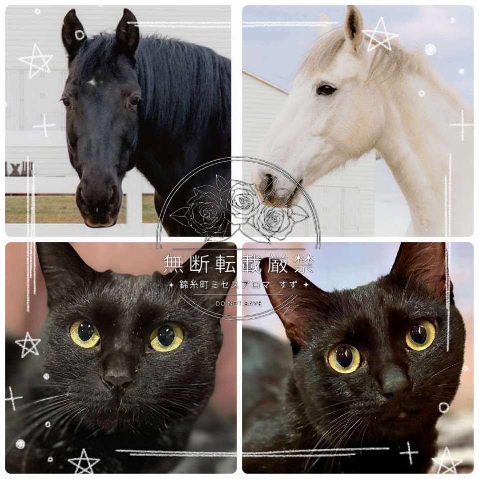 アップロード画像