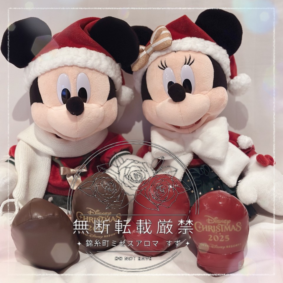 アップロード画像