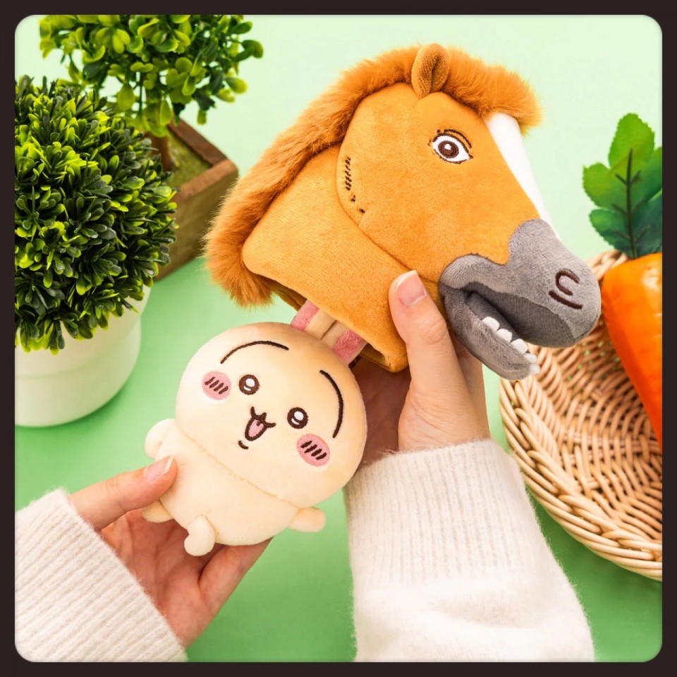 アップロード画像