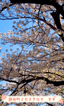 アップロード画像