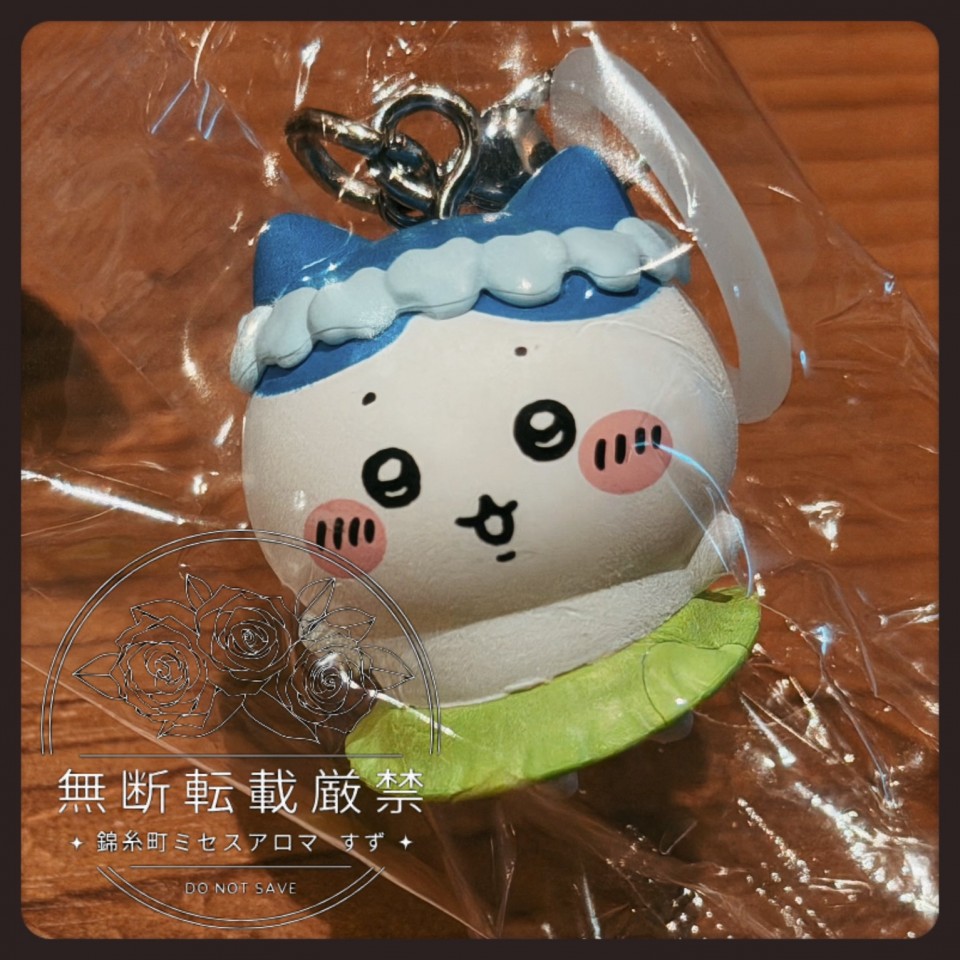 アップロード画像