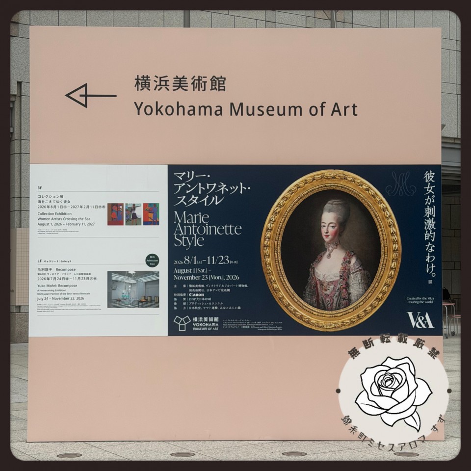 アップロード画像