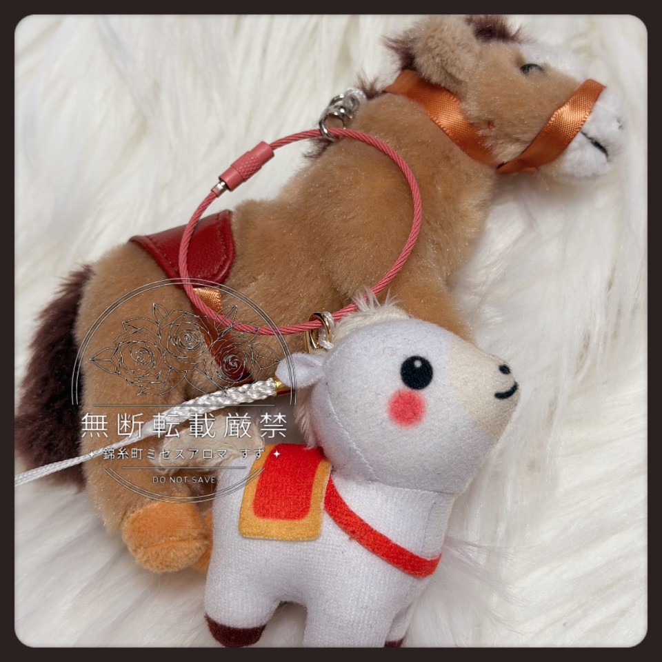 アップロード画像