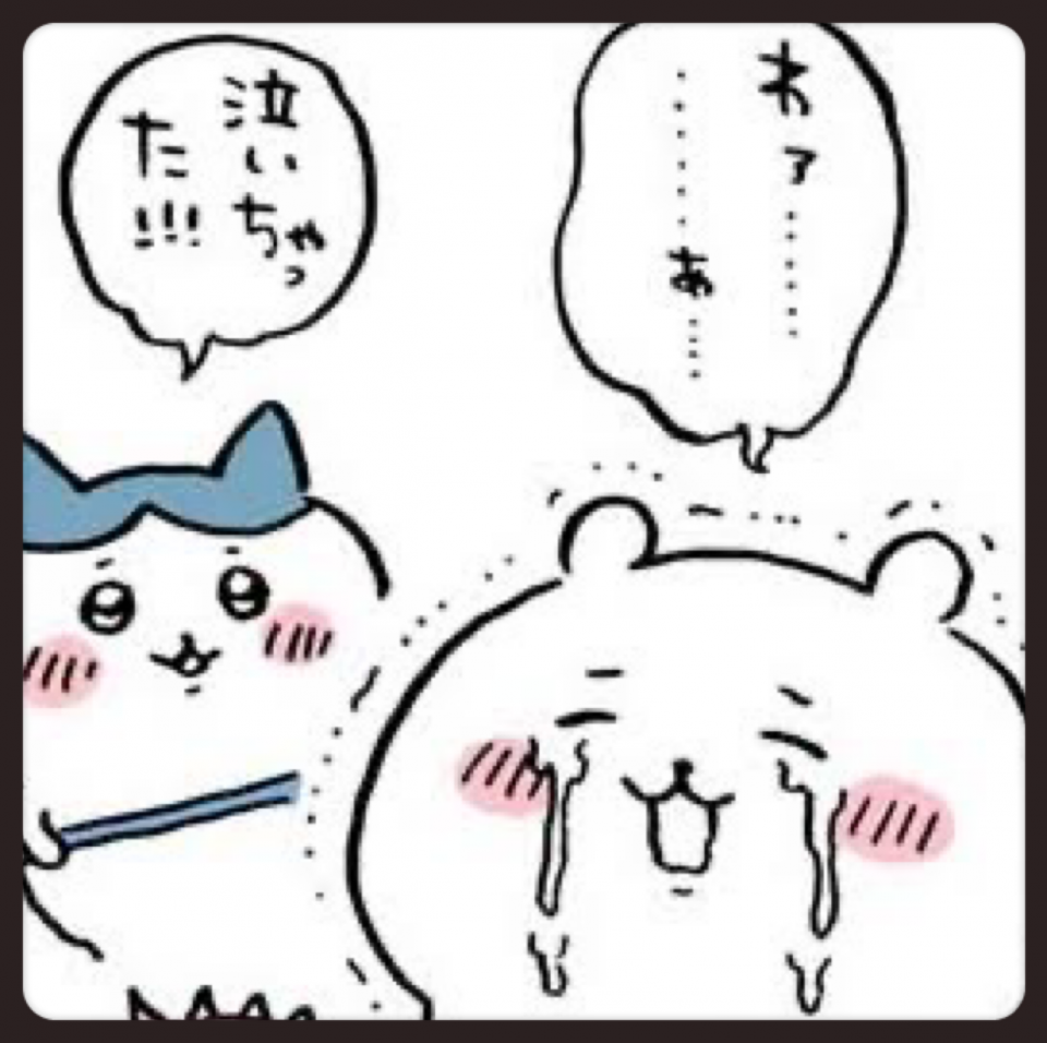 アップロード画像