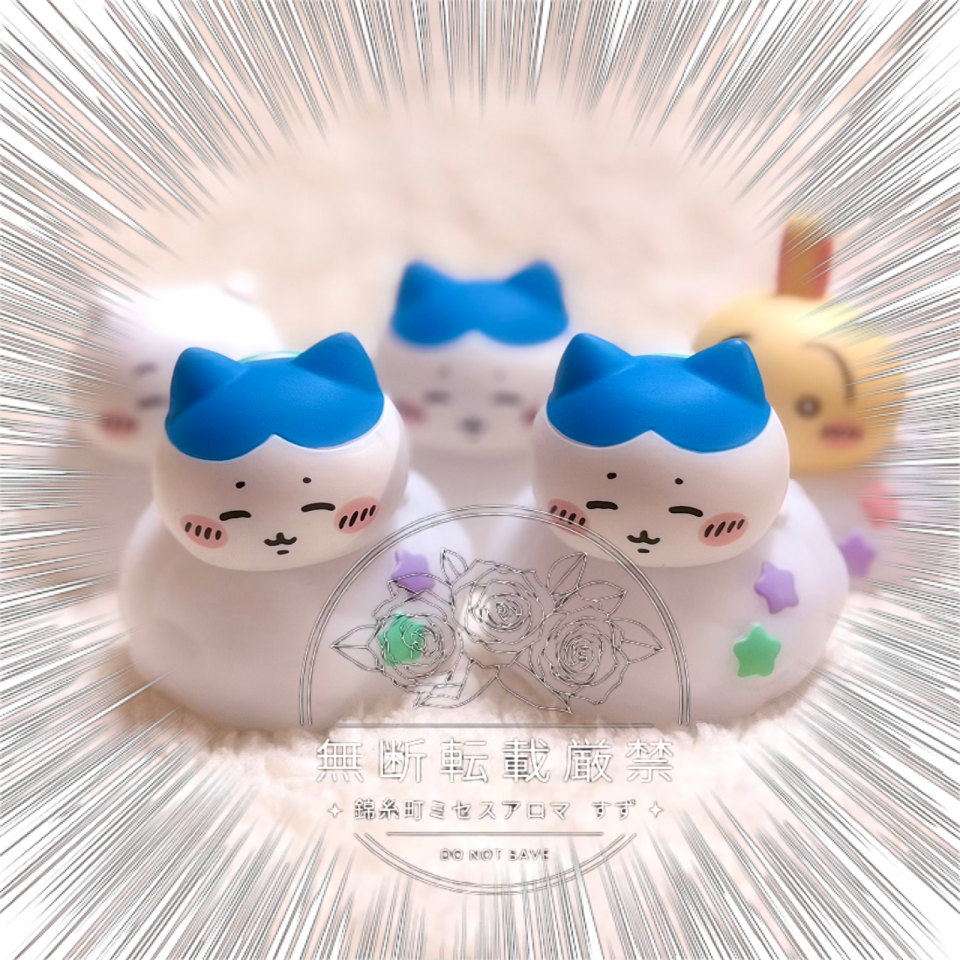 アップロード画像