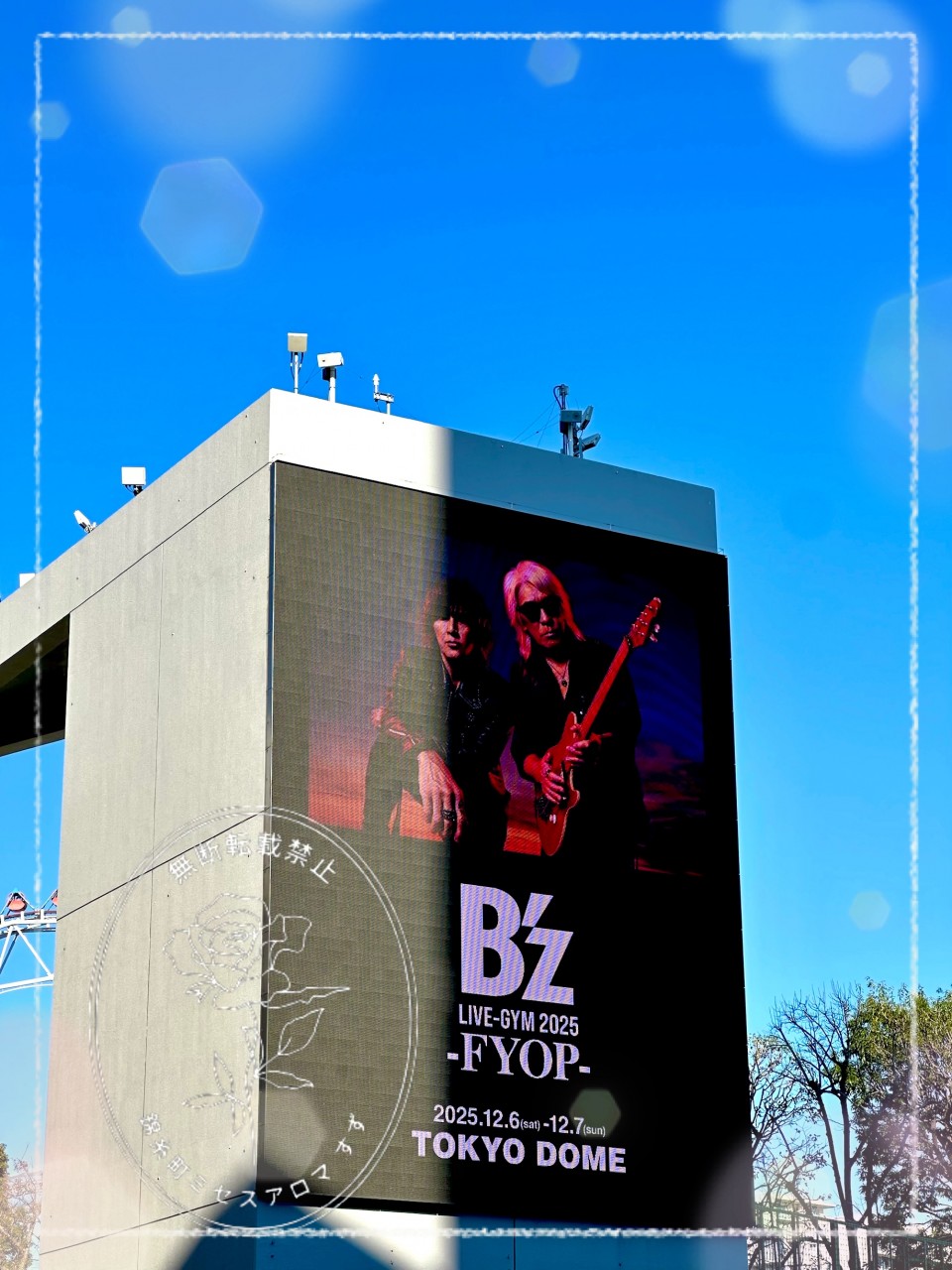 アップロード画像