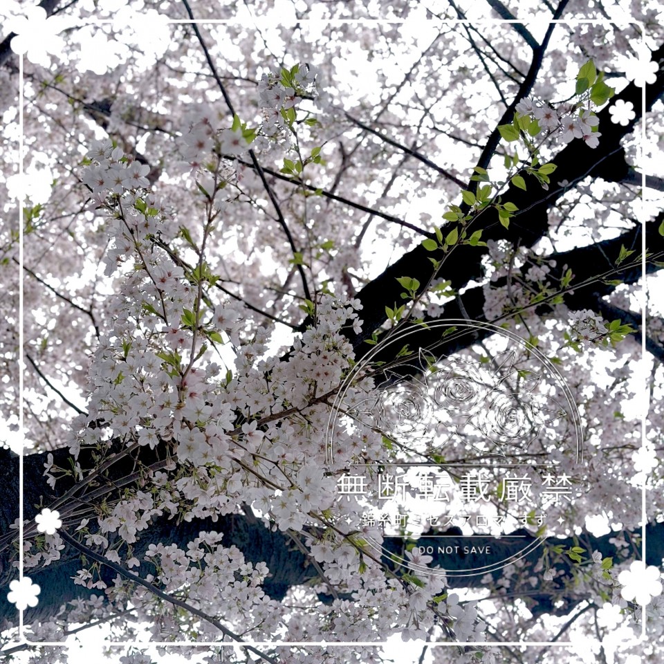 アップロード画像