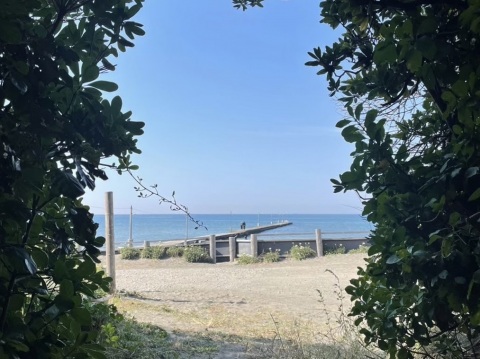 写メ