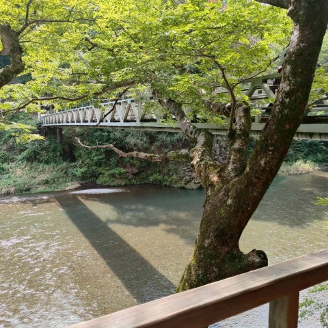 写メ