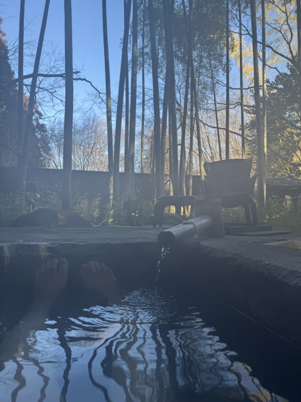 アップロード画像