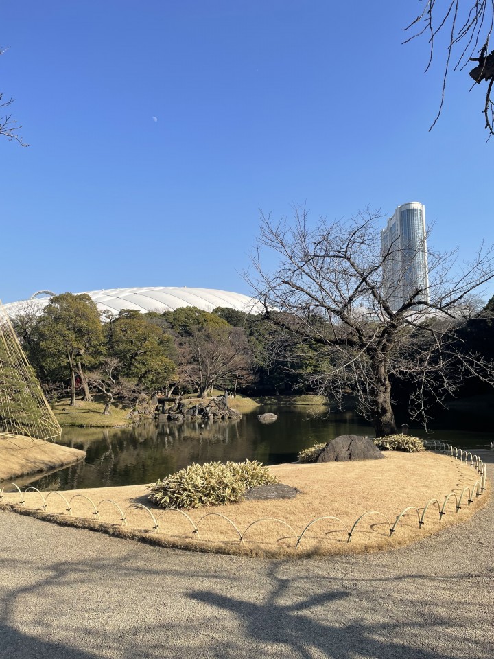 アップロード画像