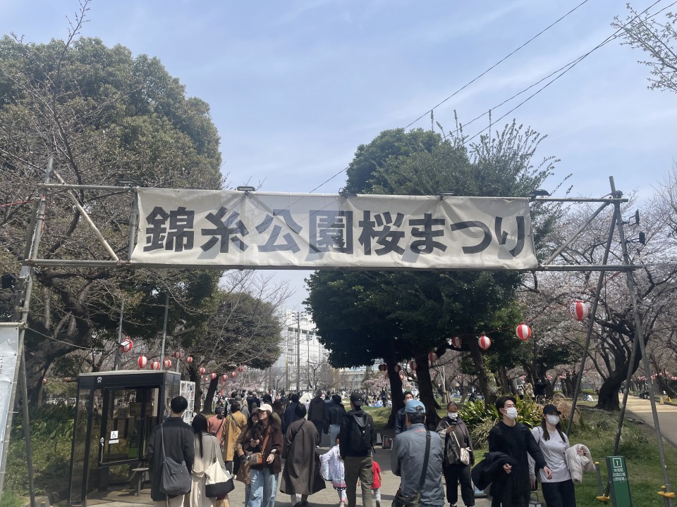 アップロード画像