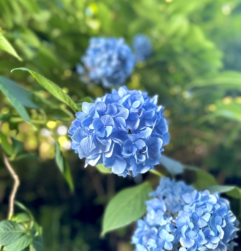 写メ