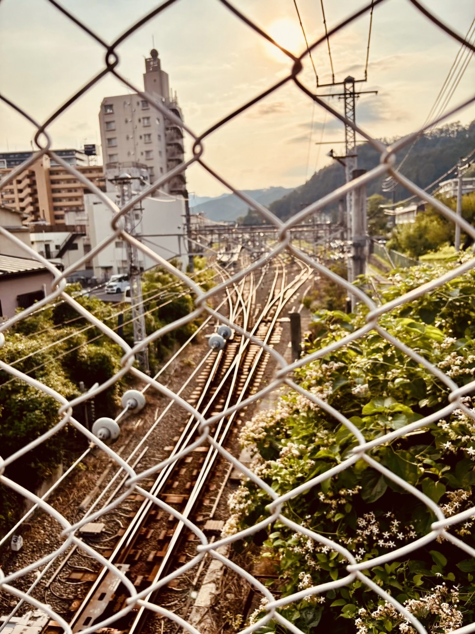 アップロード画像