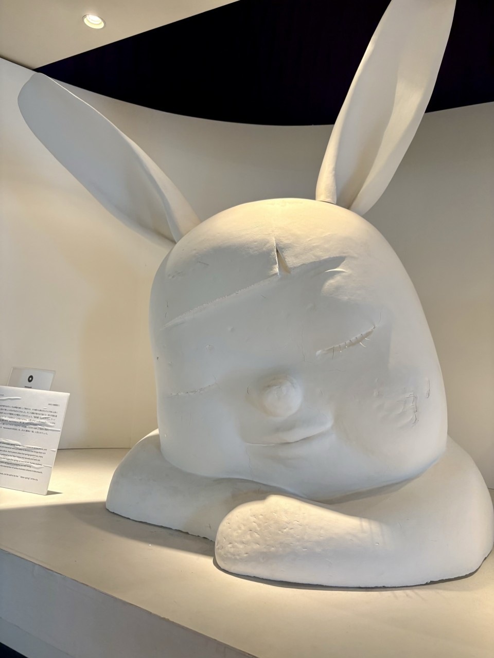 アップロード画像