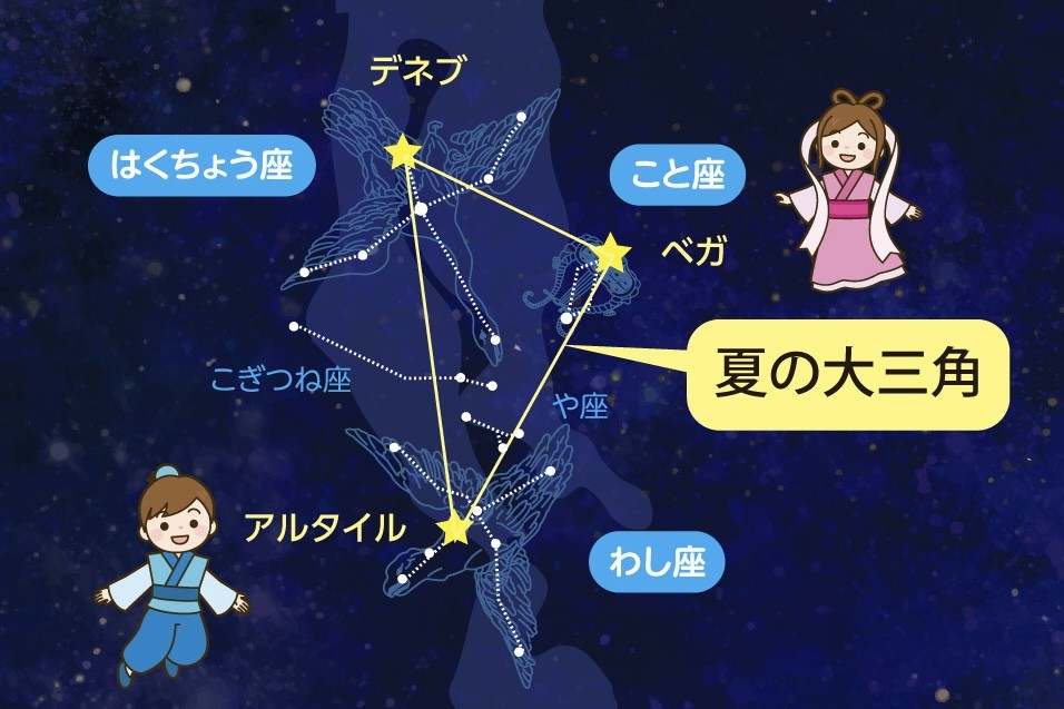 アップロード画像