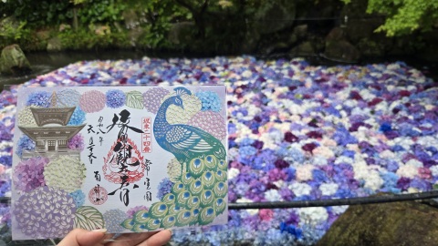 写メ